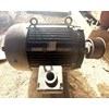Montgomery Industries 42PMHZF-ER Hogs and Wood Grinders